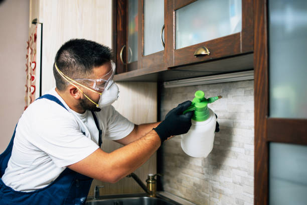 Best Pest Removal Services  in Waverly, TN