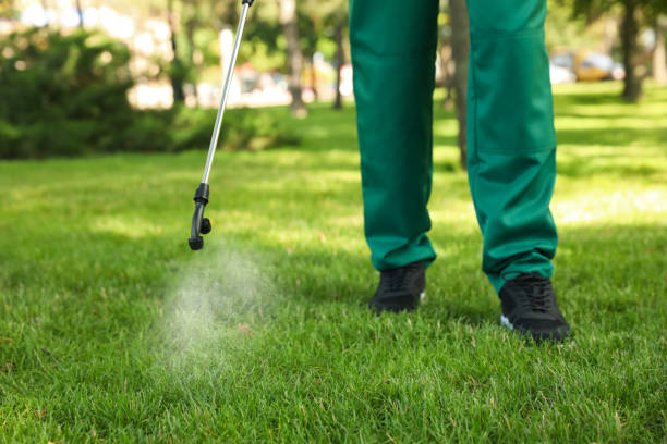 Best Flea Control Services  in Waverly, TN