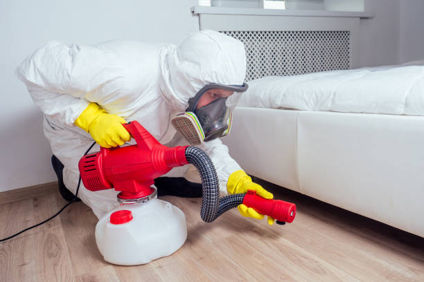 Best Local Pest Control Services  in Waverly, TN